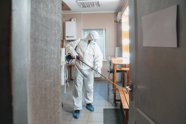 Trusted Pleasant Hill, OH Mold Removal Experts